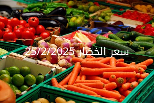 أسعار الخضار اليوم بالكيلو الثلاثاء25-2-2025 بسوق العبور