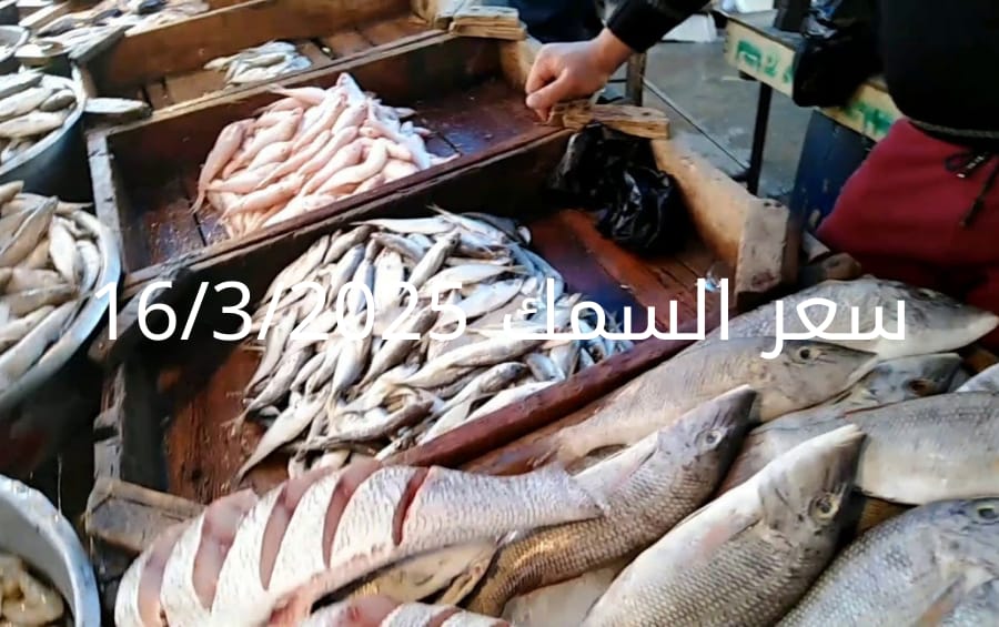 أسعار السمك والمأكولات البحرية  الأحد 16-3-2025