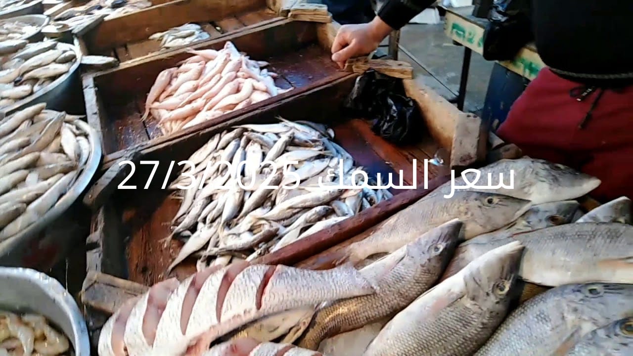 أسعار الأسماك والجمبري اليوم في سوق العبور 27-3-2025