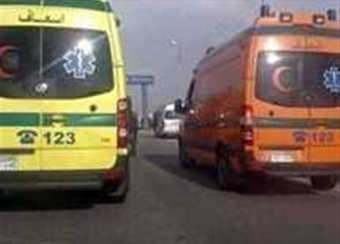العثور على جثة شخص داخل مزرعة في الفرافرة بـ الوادي الجديد