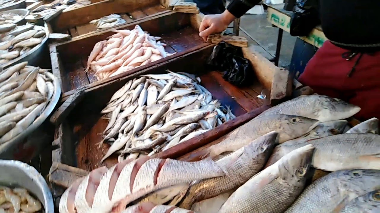 أسعار السمك والمأكولات البحرية  الاثنين 21-4-2025