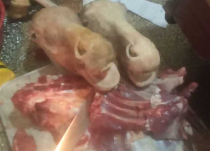 ضبط لحوم حصانين داخل منزل ببني سويف
