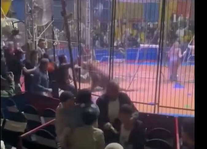  اتهام أنوسة كوتة بالتسبب في بتر ذراع عامل سيرك طنطا