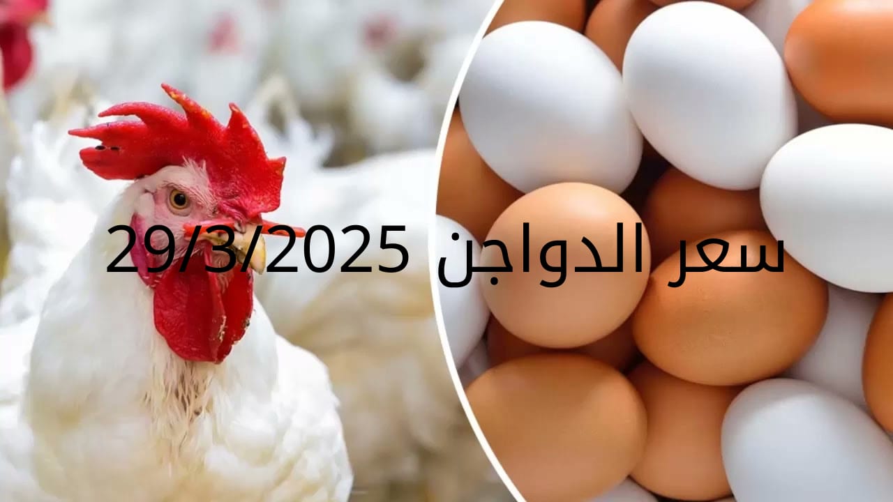 سعر الدواجن والبيض اليوم السبت 29-3-2025