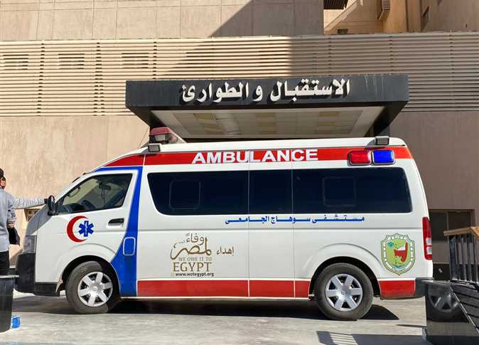 أم تلقي بنفسها ورضيعتها من شرفة المنزل بسوهاج