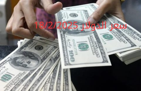 سعر الدولار والعملات في البنك المركزي وجميع البنوك المصرية 18-2-2025