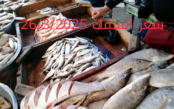 أسعار الأسماك والجمبري اليوم في سوق العبور 26-3-2025