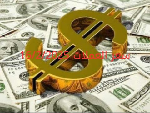 سعر الدولار والعملات في البنك المركزي وجميع البنوك المصرية 16-2-2025