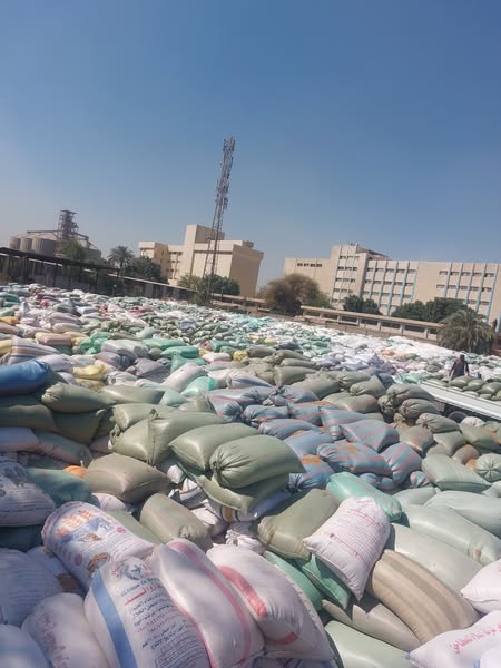 محافظ أسيوط: استمرار توريد القمح وتجاوز الكميات 57 ألف طن حتى الآن