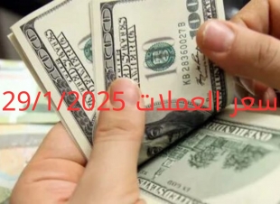 سعر الدولار والعملات في البنك المركزي وجميع البنوك المصرية 30-1-2025