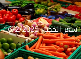أسعار الخضار اليوم بالكيلو الأحد 16-2-2025 في سوق العبور