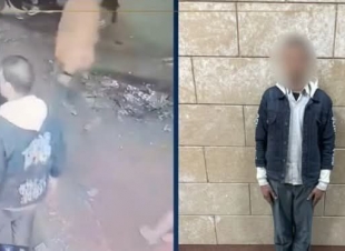 القبض على المتهم بمحاولة خطف طفل في الإسكندرية