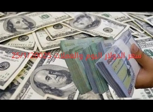 سعر الدولار والعملات في البنك المركزي وجميع البنوك المصرية 25-1-2025