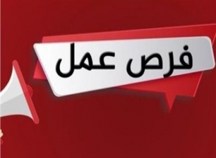 1810 فرصة عمل في 35 شركة بـ11 محافظة.. 