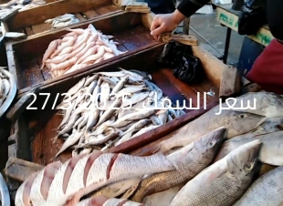 أسعار الأسماك والجمبري اليوم في سوق العبور 27-3-2025
