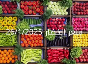 أسعار الخضار اليوم بالكيلو الأحد 26-1-2025 في سوق العبور