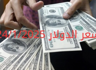 سعر الدولار والعملات في البنك المركزي وجميع البنوك المصرية 24-1-2025