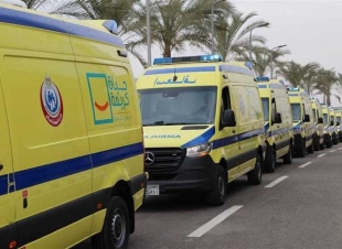 مرض نفسي،تعدي علي أمه بـ (قالب طوب)، مما أودي بحياتها