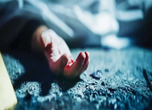 «الجنايات» تُدين 5 أشقاء في محاولة قتل بالجيزة