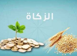  تساؤلات الصائمين حول الفتاوى الرمضانية، ومن ضمنها الدَّين ومنع زكاة الفطر.