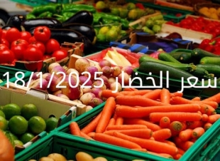أسعار الخضار اليوم بالكيلو في سوق العبور السبت 18-1-2025