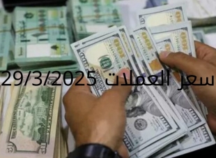 سعر الدولار والعملات في البنك المركزي وجميع البنوك المصرية 29-3-2025