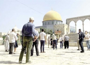 دعت «جماعات الهيكل» ذبح قرابين عيد «ألفصح» العبري في المسجد الأقصى ومحيطه .