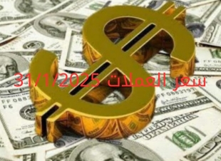 سعر الدولار والعملات في البنك المركزي وجميع البنوك المصرية 31-1-2025