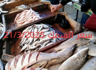 أسعار الأسماك والجمبري اليوم في سوق العبور 21-3-2025