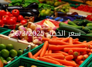 أسعار الخضار اليوم بالكيلو الأربعاء 26-3-2025 بسوق العبور