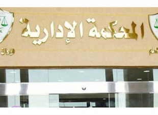 «الإدارية العليا»: تشاحن أو تنابز العامل مع زملائه يستوجب مجازاته
