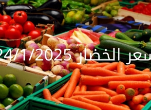 أسعار الخضار اليوم بالكيلو الجمعة 24-1-2025 في سوق العبور