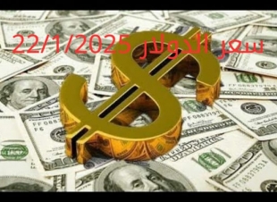 سعر الدولار والعملات في البنك المركزي وجميع البنوك المصرية 22-1-2025