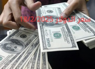 سعر الدولار والعملات في البنك المركزي وجميع البنوك المصرية 18-2-2025