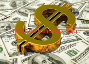 سعر الدولار والعملات في البنك المركزي وجميع البنوك المصرية 16-2-2025
